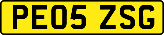 PE05ZSG