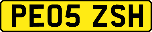 PE05ZSH