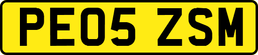 PE05ZSM