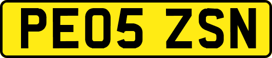 PE05ZSN