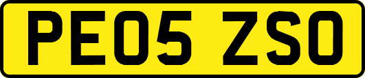 PE05ZSO