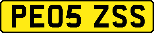PE05ZSS
