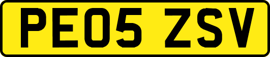 PE05ZSV