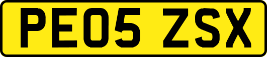 PE05ZSX