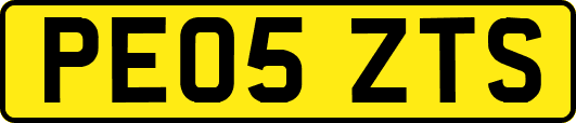 PE05ZTS