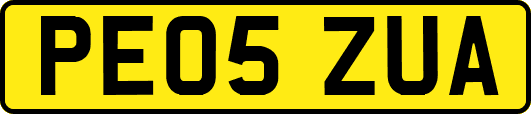 PE05ZUA