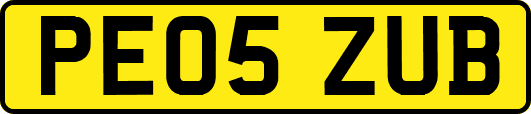 PE05ZUB