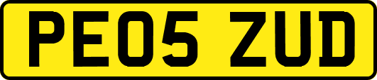 PE05ZUD