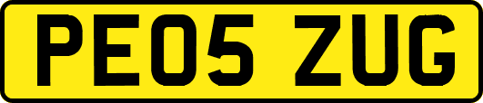 PE05ZUG