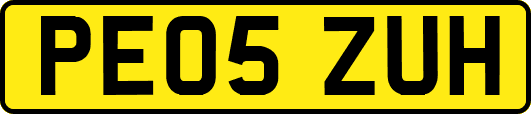 PE05ZUH