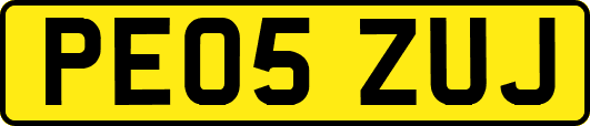 PE05ZUJ