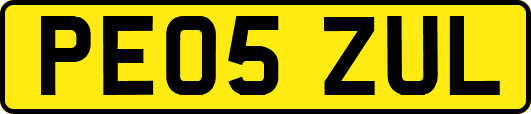PE05ZUL