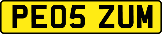 PE05ZUM