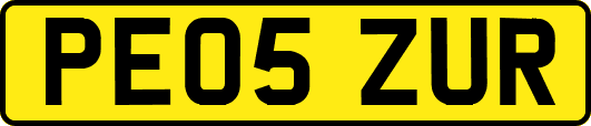 PE05ZUR