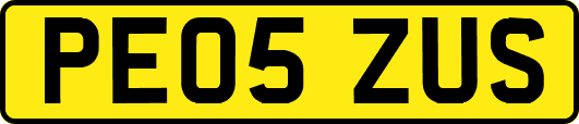 PE05ZUS