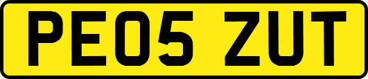 PE05ZUT