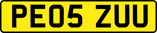 PE05ZUU