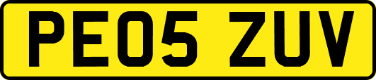 PE05ZUV