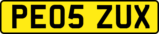 PE05ZUX