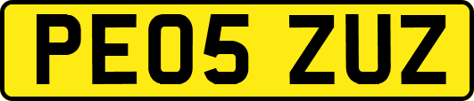 PE05ZUZ