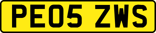 PE05ZWS