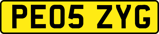 PE05ZYG