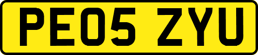 PE05ZYU