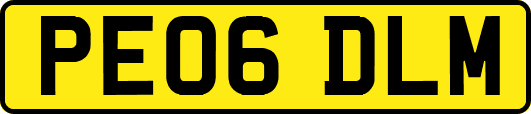 PE06DLM