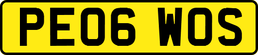 PE06WOS