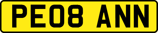 PE08ANN