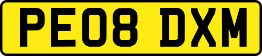 PE08DXM