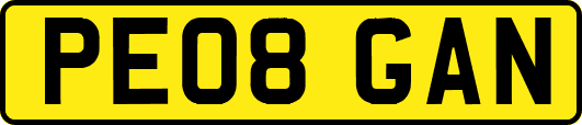 PE08GAN