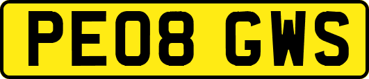 PE08GWS