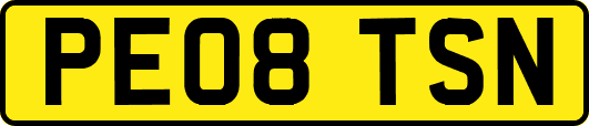 PE08TSN