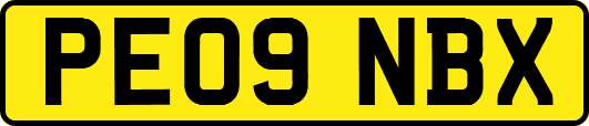 PE09NBX