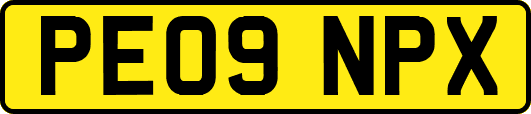 PE09NPX