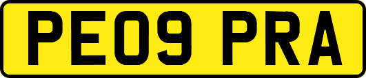 PE09PRA