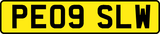 PE09SLW