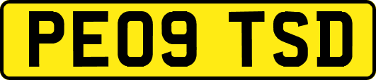 PE09TSD