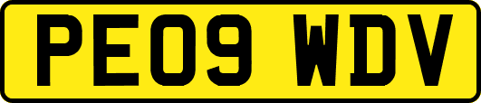 PE09WDV