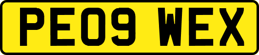 PE09WEX