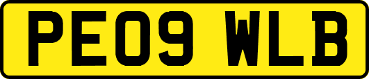 PE09WLB