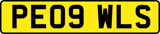 PE09WLS