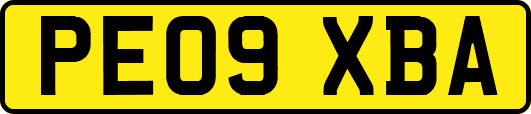 PE09XBA