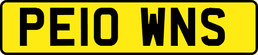 PE10WNS