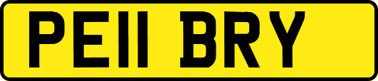 PE11BRY