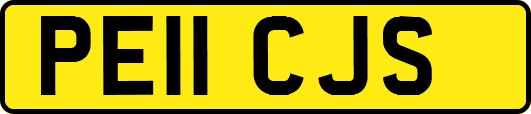 PE11CJS