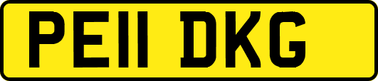 PE11DKG