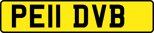 PE11DVB