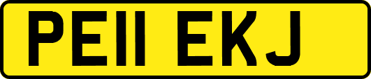 PE11EKJ